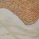 Il Sogno di Mara